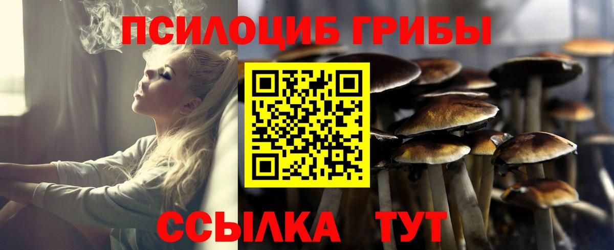 Псилоцибиновые грибы Psilocybe  Вход с VPN  Дедовск  Галлюциногенные грибы прущие грибы 